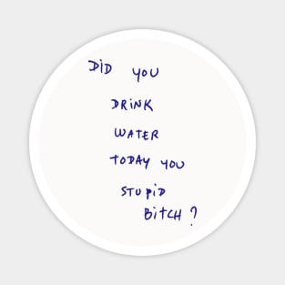 DID YOU DRINK WATER TODAY YOU STUPID Bitch ? Magnet